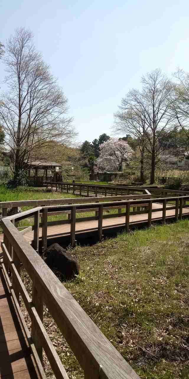 A nearby park